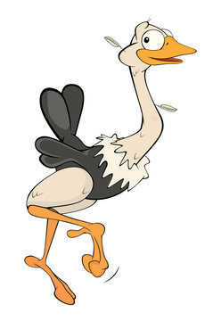 Cute ostrich  illustration. Cartoon
