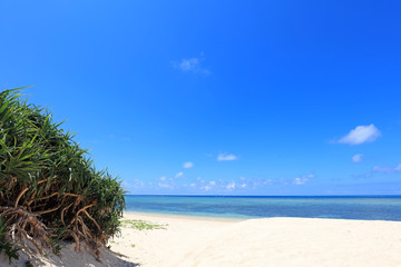 美しい今帰仁のビーチと夏空