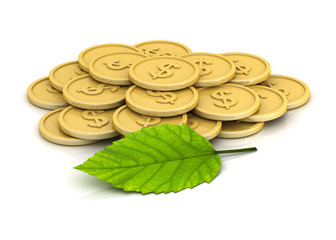 Money and leaf