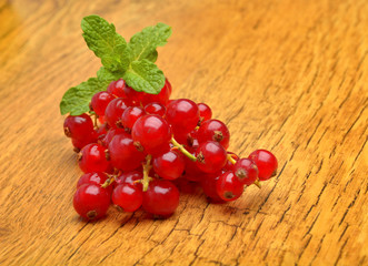 Red Currant close up