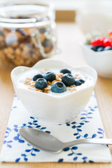 Healthy breakfast with granola, yogurt and fresh fruits