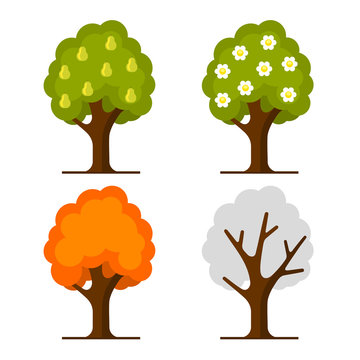 Pear Tree Set on White Background. Vector