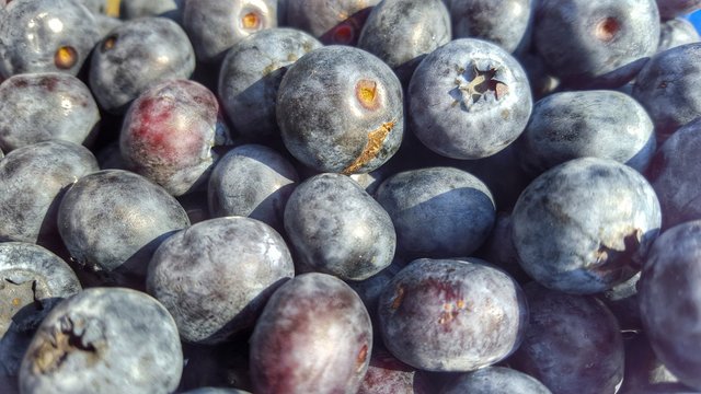 Fresh ripe healthy blueberries © bofotolux