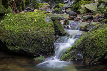 Water flowing over moss-covered rocks
