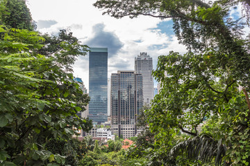 Fototapeta premium a modern city surrounded by jungle