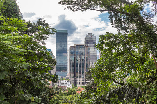 Fototapeta a modern city surrounded by jungle