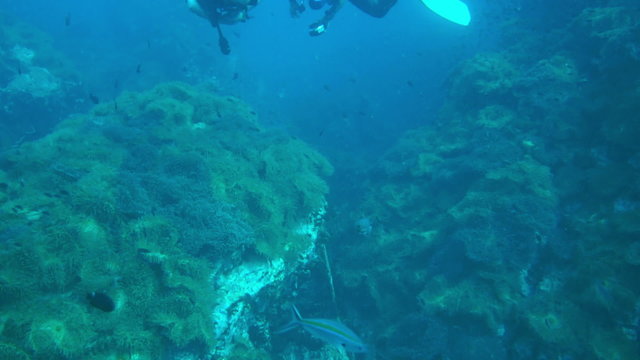 Man scuba diving trainning practice underwater with corall reef