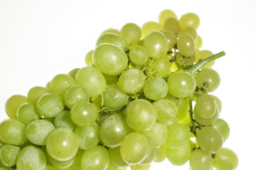 Close-up of bunch of white table grapes, backlit