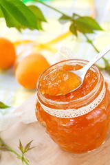 Apricot jam and  Fresh apricots