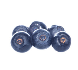bilberry isolated