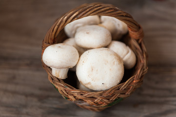 Mushrooms
