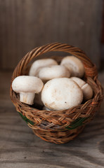 Mushrooms