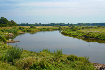Fototapeta na wymiar Meadow on the river Warta in summer in Poland.