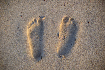 Footprints in the Sand