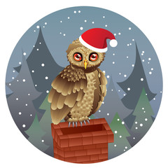 Cute Christmas Owl