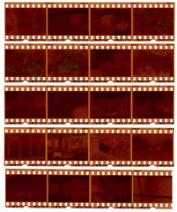 Realistic gritty scan of 35mm color negative film strips.