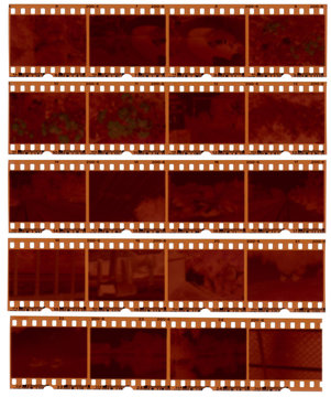 Realistic gritty scan of 35mm color negative film strips.