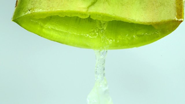 Aloe, Saft tropft aus Blatt