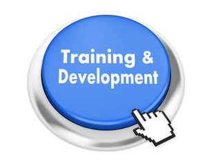Training & Development