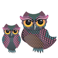 Pink and Blue Color Owl