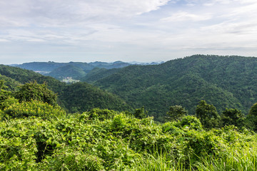 Fototapeta na wymiar View of mountain, Khao Yai National Park, Thailand
