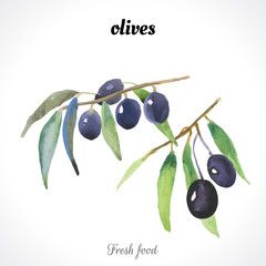 Watercolor olive. Provencal style. Recent watercolor paintings of organic food.