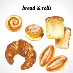 Vector illustration of muffins and bread. Watercolor illustration of fresh organic pastries. Croissants and donuts
