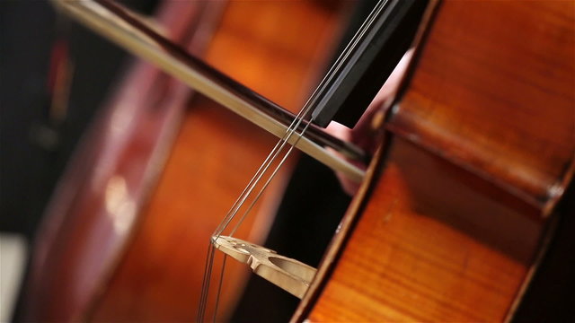 The bow and the cello at a symphony concert.