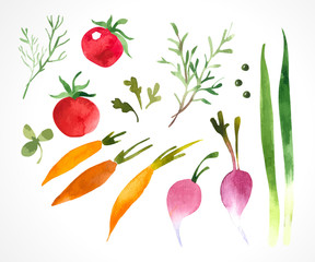 Vector Illustration with watercolor food.