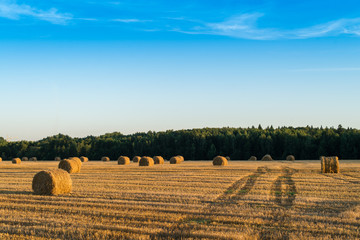 Straw bale on the field after harvest.