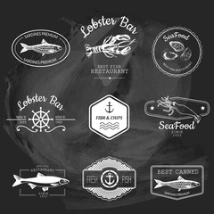 Vector Illustration on blackboard. Logo set with fish.