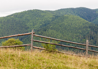 Fototapeta na wymiar summer landscape in Carpathians
