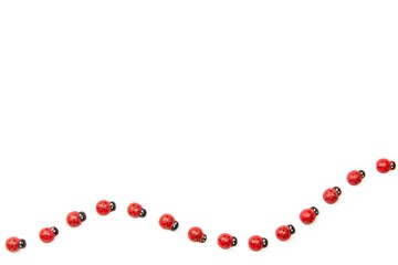 Marienkäfer isoliert auf weißem Hintergrund