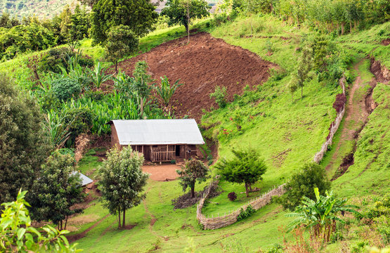 Hut in the Bonga forest reserve in southern Ethiopia