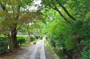 Fototapeta na wymiar 京都　哲学の道