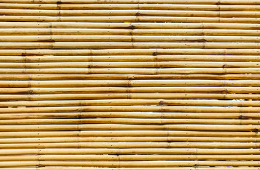 bamboo fence background