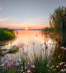 Backwater on the Chudskoy lake. lake Peipsi