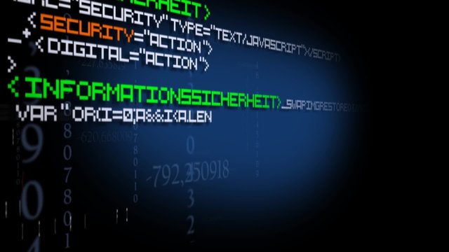 IT-Sicherheit Schutz Internet Wörter Codes Anzeige Bildschirm kriminalität IT security