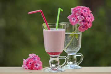 Red currant milkshake and pink phlox