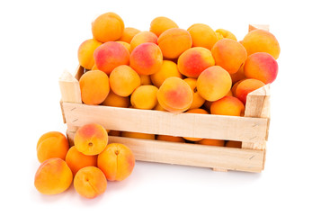 Apricots (Prunus armeniaca) in wooden crate