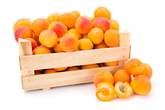 Apricots (Prunus armeniaca) in wooden crate