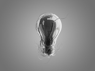 Light bulb with roots and emerged on the icon with roots.
