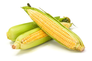 Sweet corn cob with green leaves