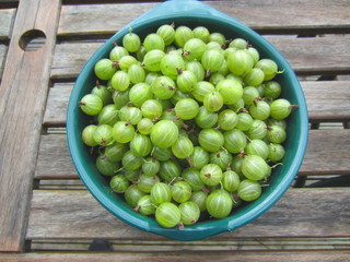 Gooseberries in a bowl