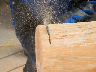 Nahaufnahme von einem Baumstamm, der mit einer Kettensäge zersägt wird