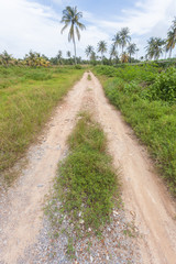 Road lane in countryside with grass and soil in sunny day