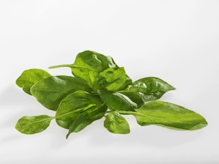 Fresh spinach leaves