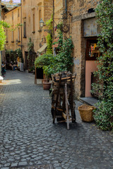 Fototapeta na wymiar Cobblestone Alley, Orvieto, Italy