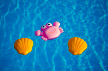 Rubber toys in the swimming pool