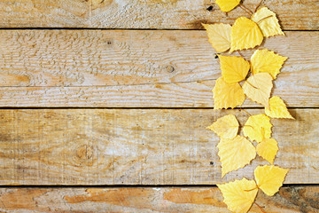 Autumn birch leaf on a wooden background